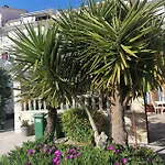 Amfora Podgora (Split-Dalmatia)