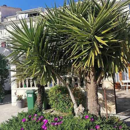 Amfora Podgora (Split-Dalmatia)
