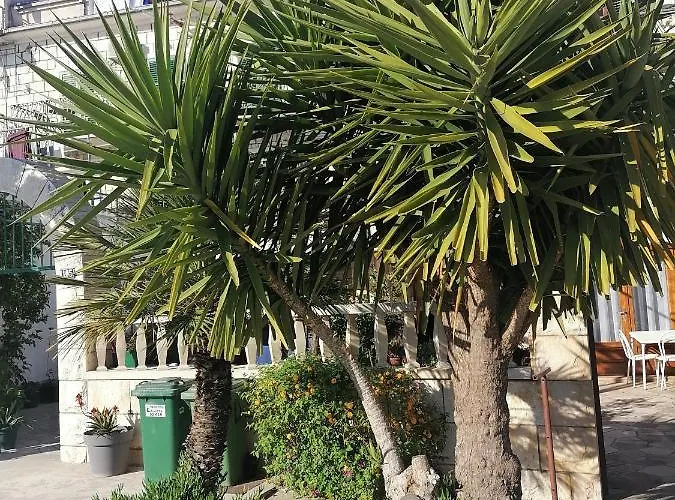 Amfora Podgora